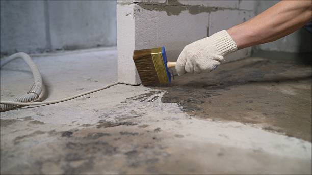 SJ Waterproofing Pros Waterproofing coverage map for Allendale, MI and surrounding area